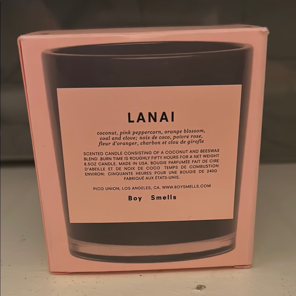 RARE LIKE NEW Boy Smells Lanai Candle